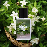 chambeli perfume price in pakistan